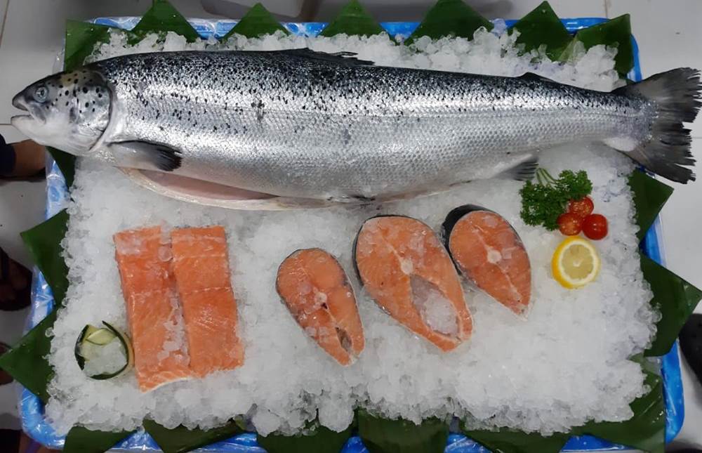 Salmon asap termurah tokopedia Salmon asap termurah tokopedia