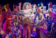 Matt ray bark of millions