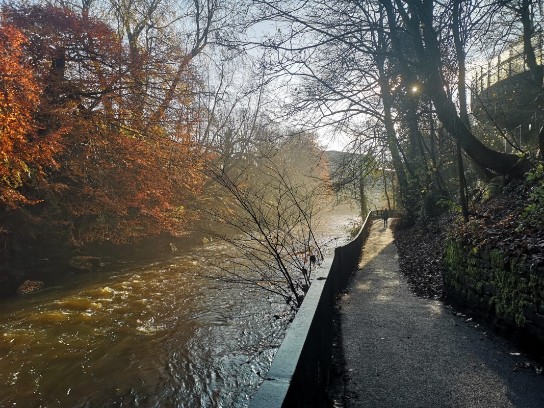 Outdoor therapy depression anxiety