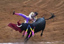 Quotation of the day after 500 years mexican bullfighting faces a mortal challenge