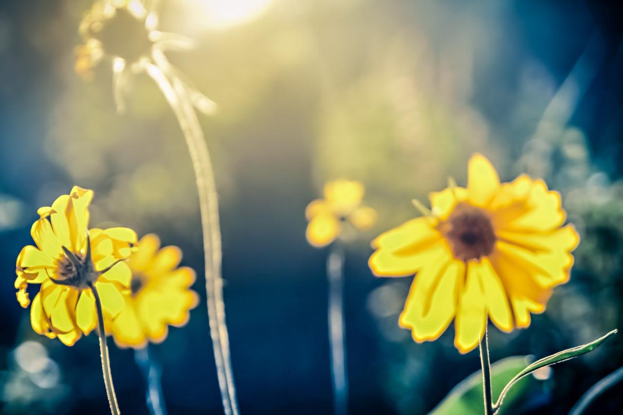 Outdoor therapy depression anxiety