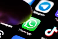 meta-expands-ai-agent-integration-allowing-developers-to-setup-and-manage-whatsapp-business-via-conversational-prompts